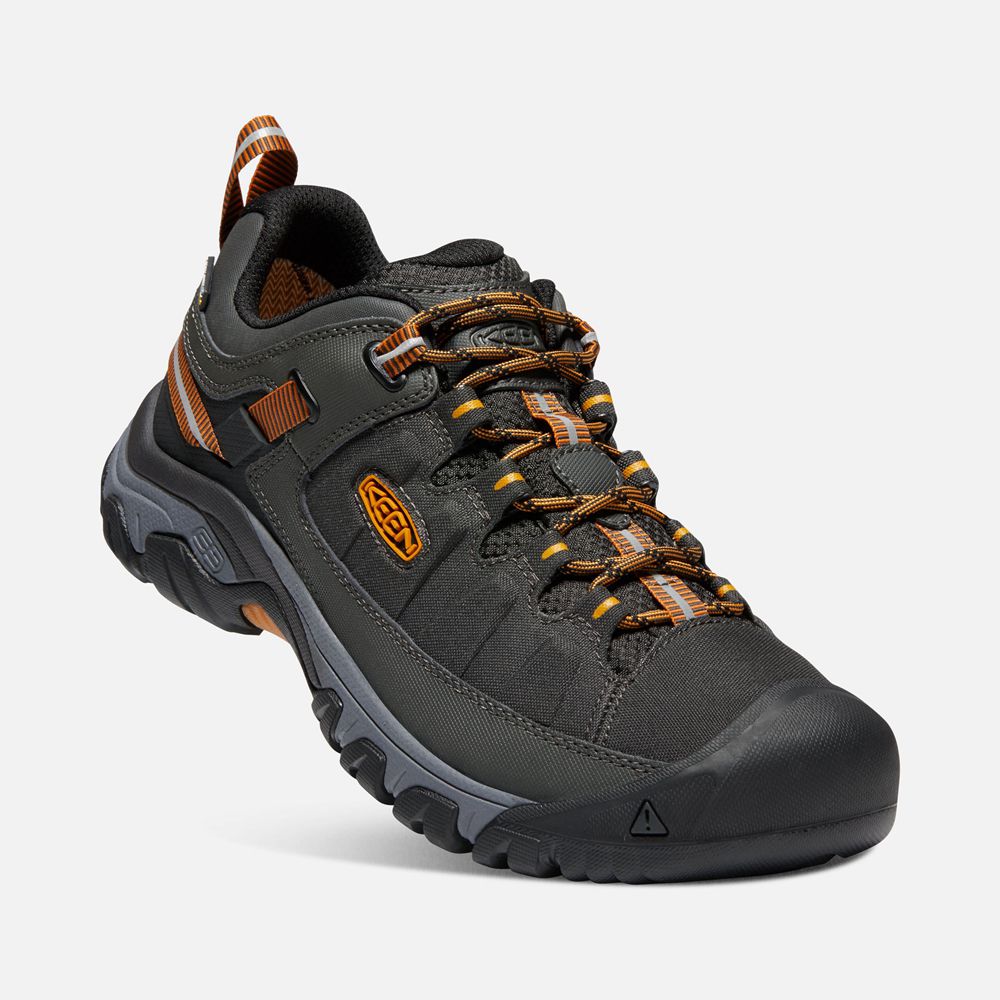 Keen Outdoor Ayakkabı Erkek Siyah/Altın - Targhee Exp Waterproof - Türkiye ZOLB46195